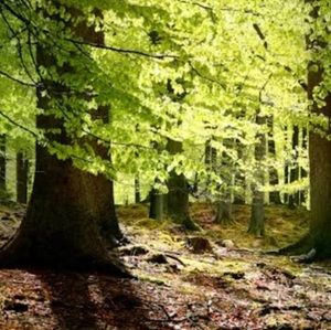 Meet your Posher, Christopher omar